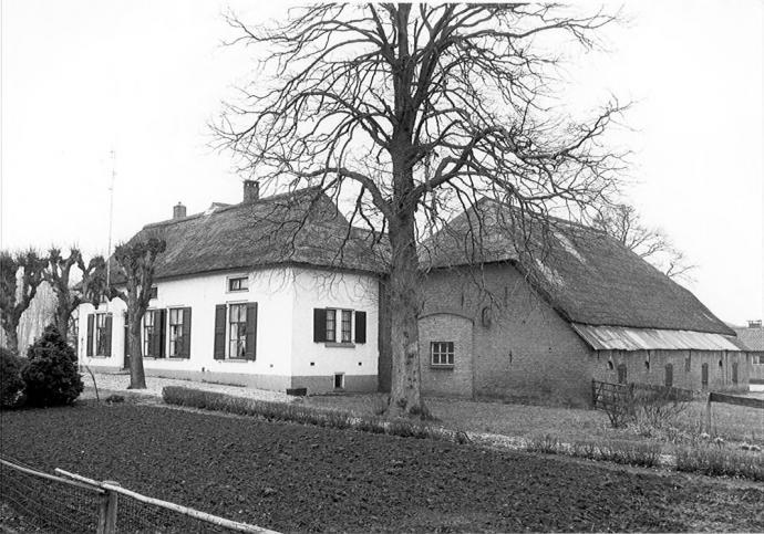 Wit gepleisterde T-Boerderij