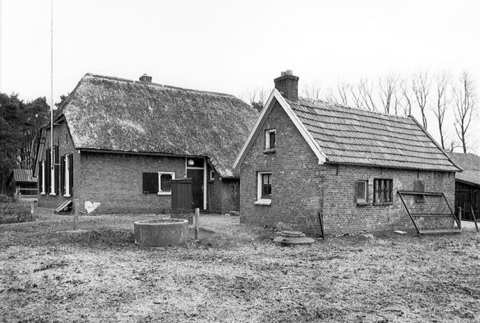 Hallehuisboerderij met rieten wolfsdak